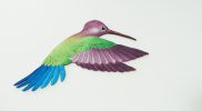 Colibri