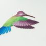 Colibri